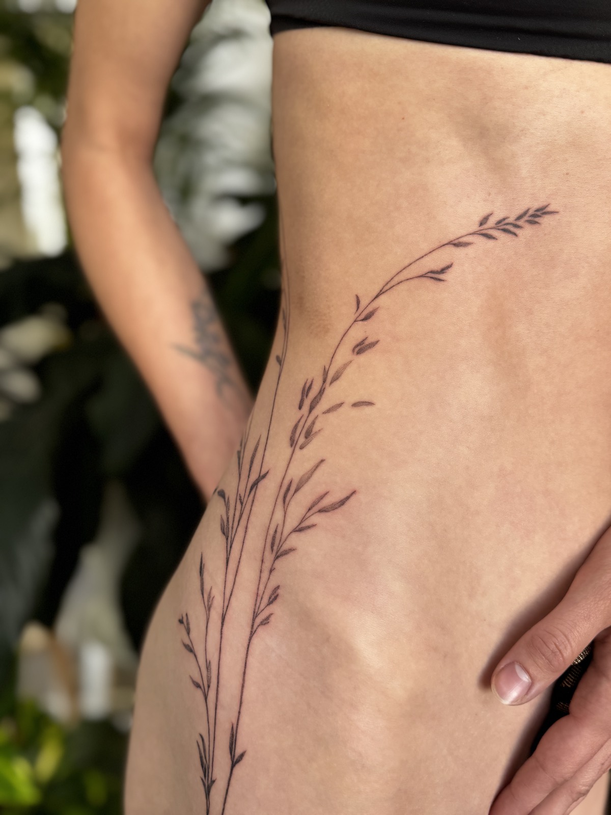 Fine-line grass and wildflower tattoo curving across the hip, by Gosia, Bristol