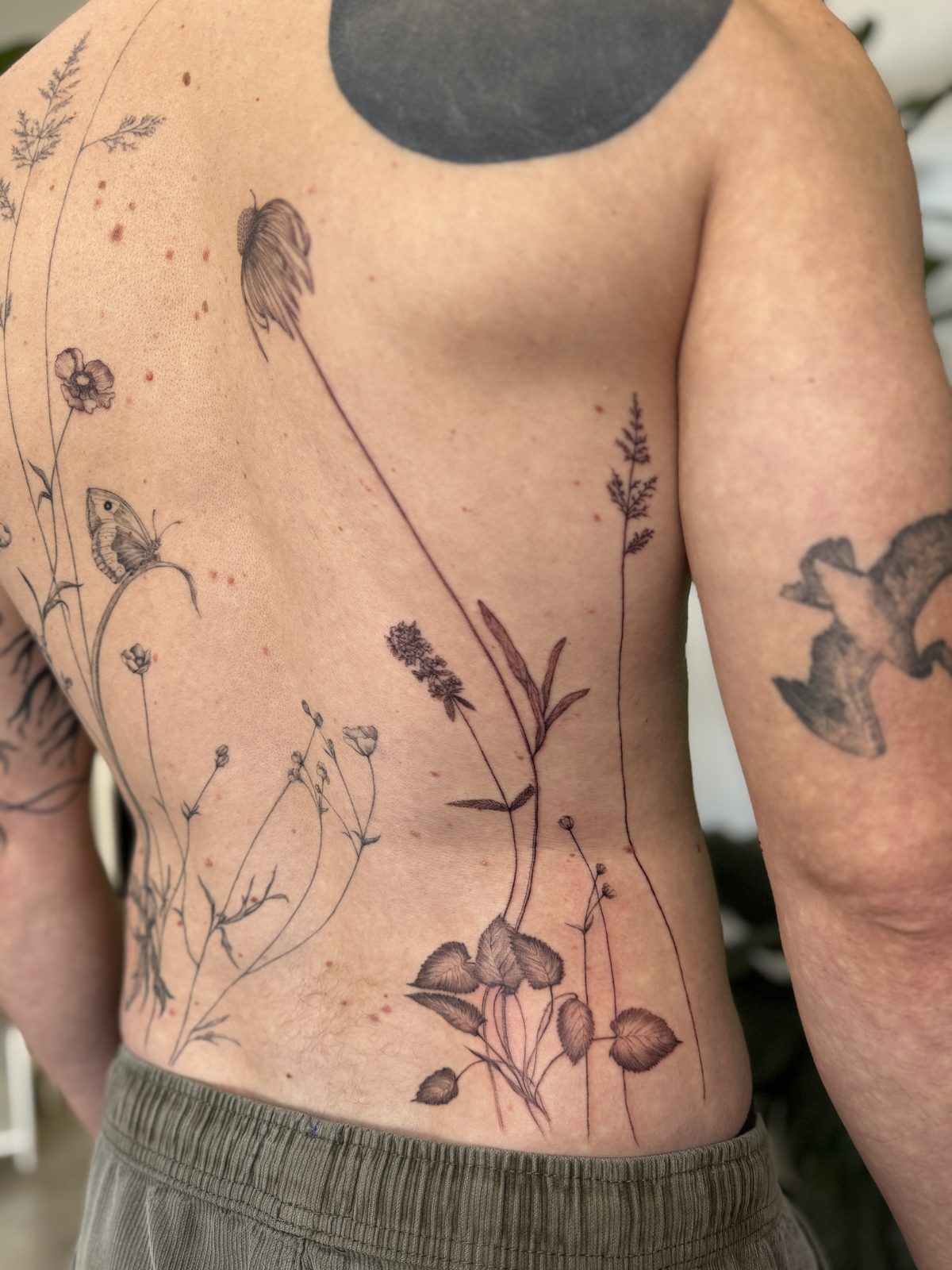 Fine-line wildflower botanical back tattoo detail, by Gosia, Bristol